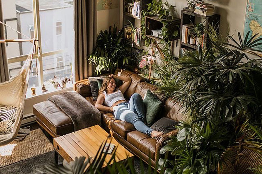 9 Reasons to Bring Nature in with Indoor Plants