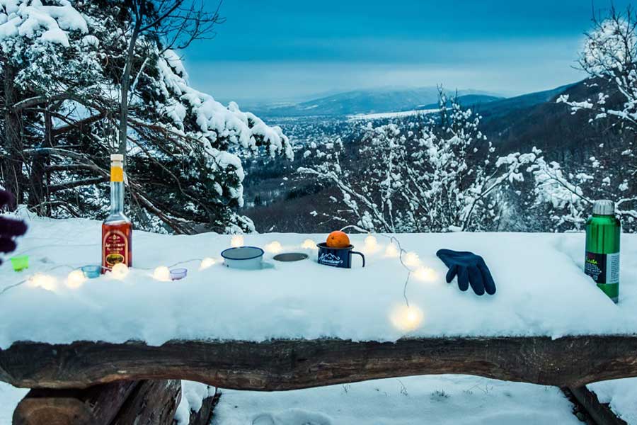 How to Organize a Winter Picnic in the Snow